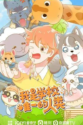 《我是学校唯一的人类》：另类校园动画！当“人类”遇上“怪物”，谁才是异类？