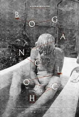 《林中空地》：失忆少女的惊悚逃生，真相背后隐藏着什么？心理悬疑与生存挑战的双重考验！