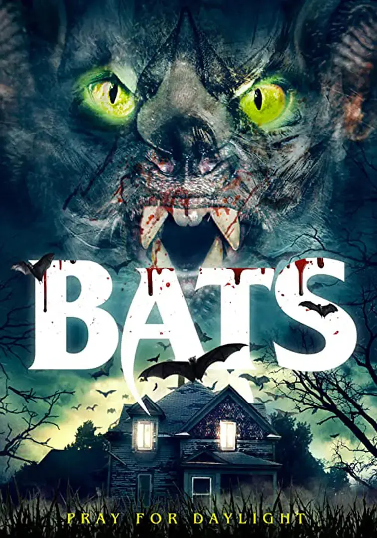 《蝙蝠：觉醒》：黑暗骑士的重生之路，人性与正义的深度拷问